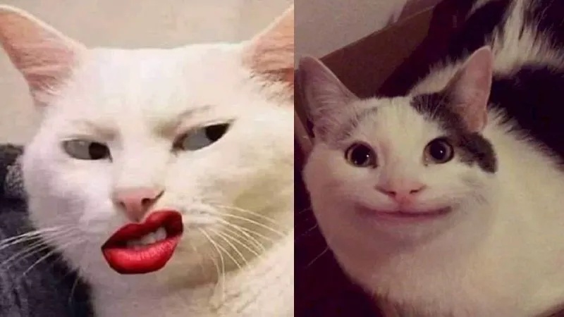 Meme Hài