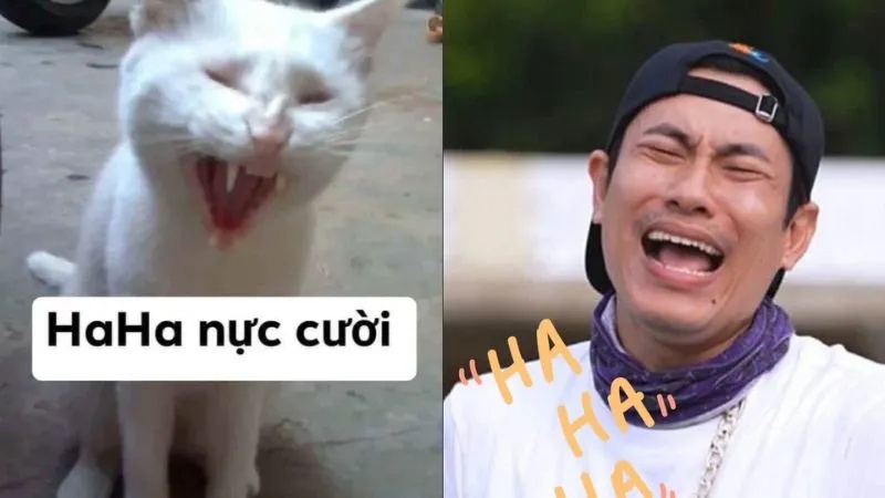 Meme Hài