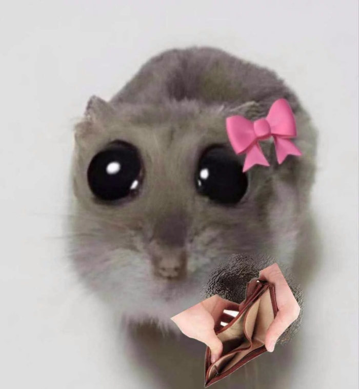 meme hết tiền
