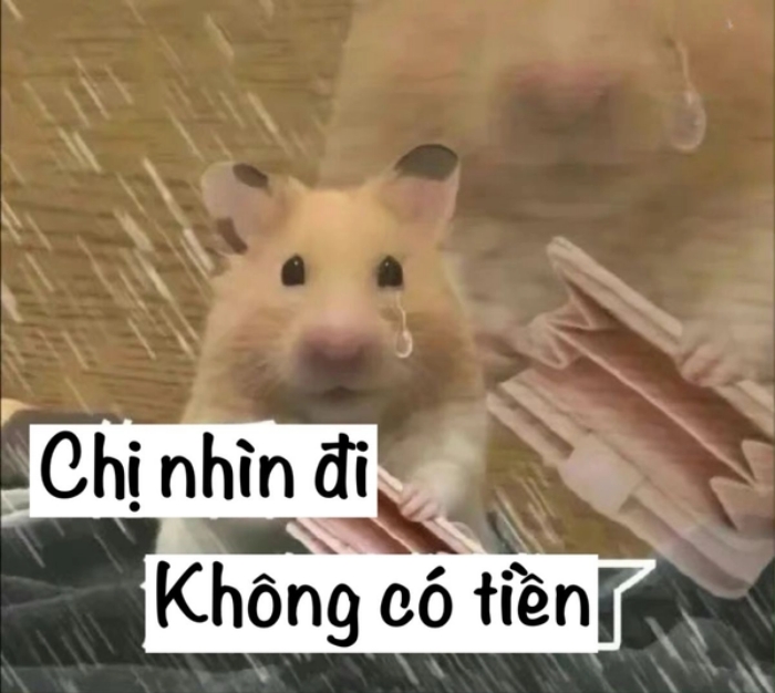 meme hết tiền