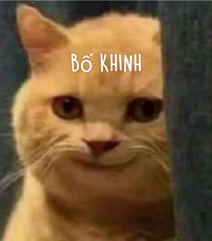 meme khinh bỉ