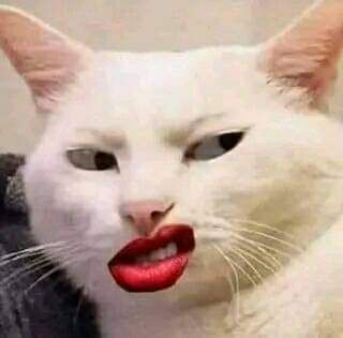meme khinh bỉ