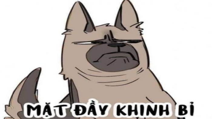 meme khinh bỉ