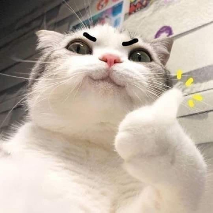meme like