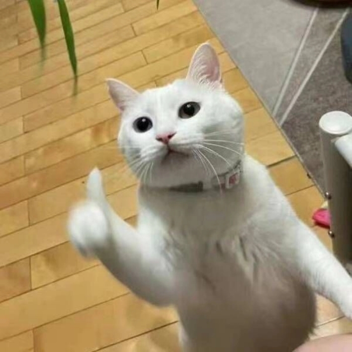 meme like