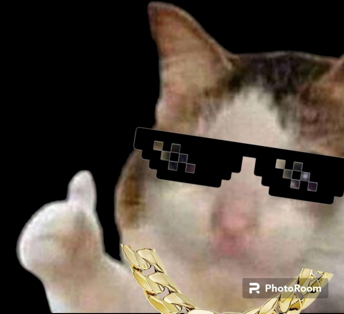 meme like