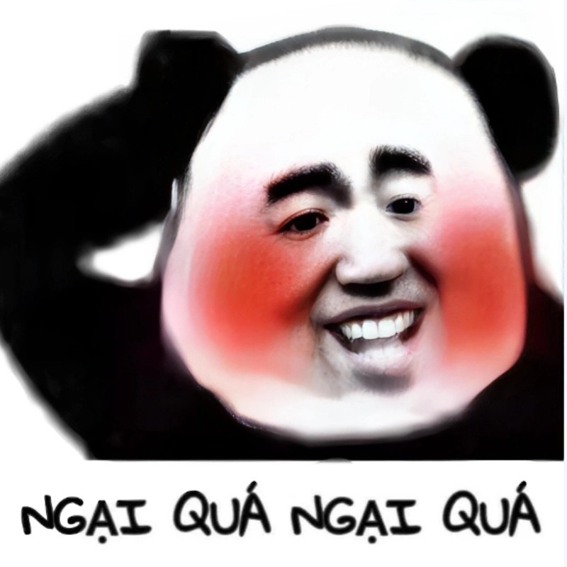 Meme Ngại