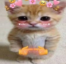 Meme Ngại