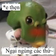 Meme Ngại