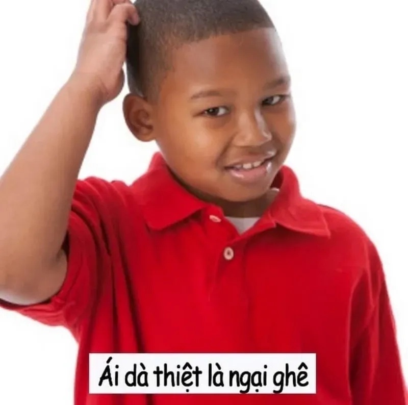 Meme Ngại