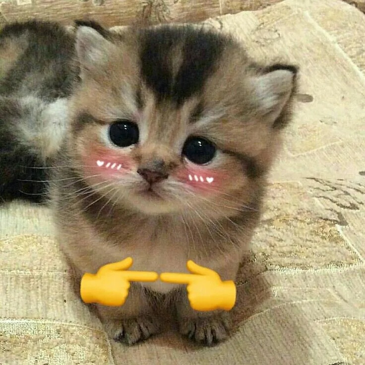 Meme Ngại