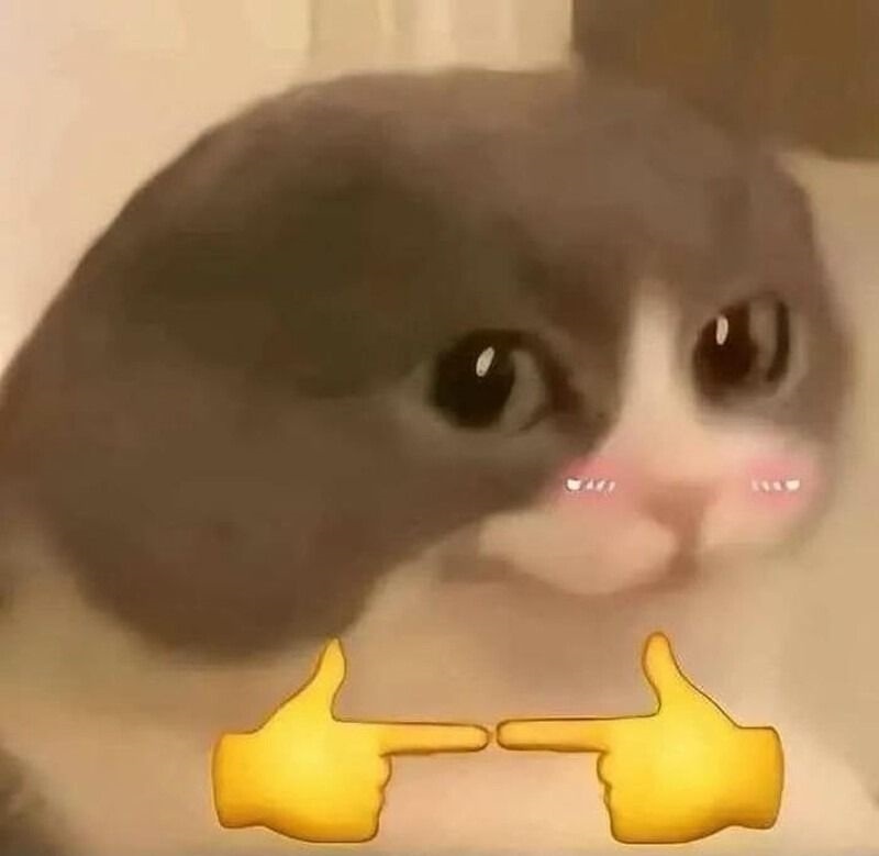 Meme Ngại