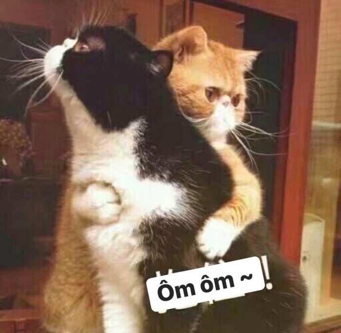 meme ôm