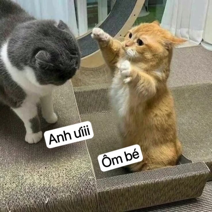 meme ôm