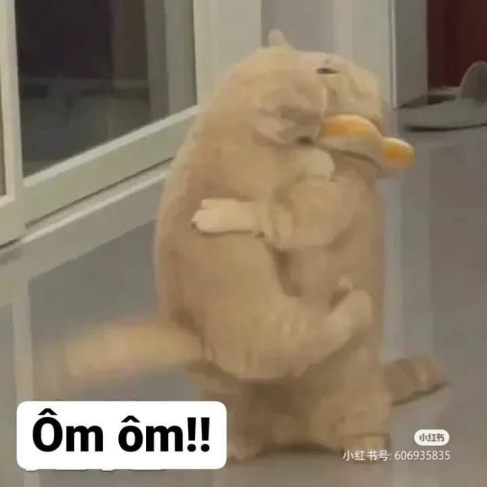 meme ôm
