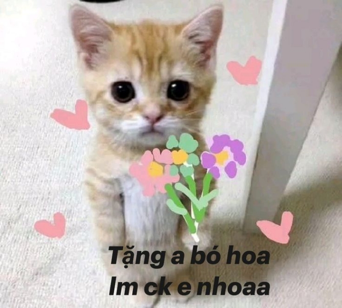 meme tặng hoa