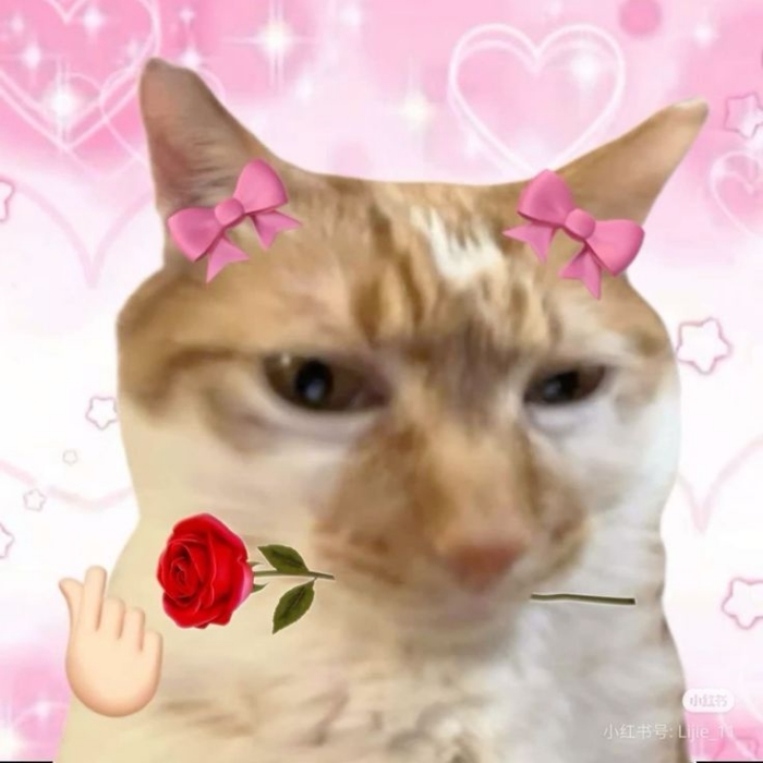 meme tặng hoa