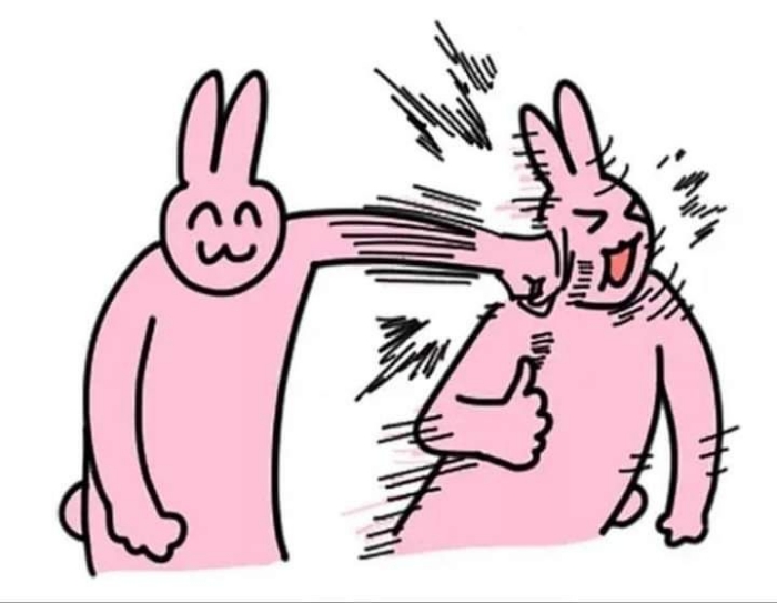 meme thỏ hồng