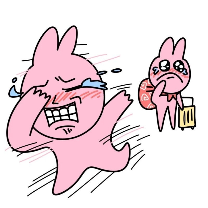 meme thỏ hồng