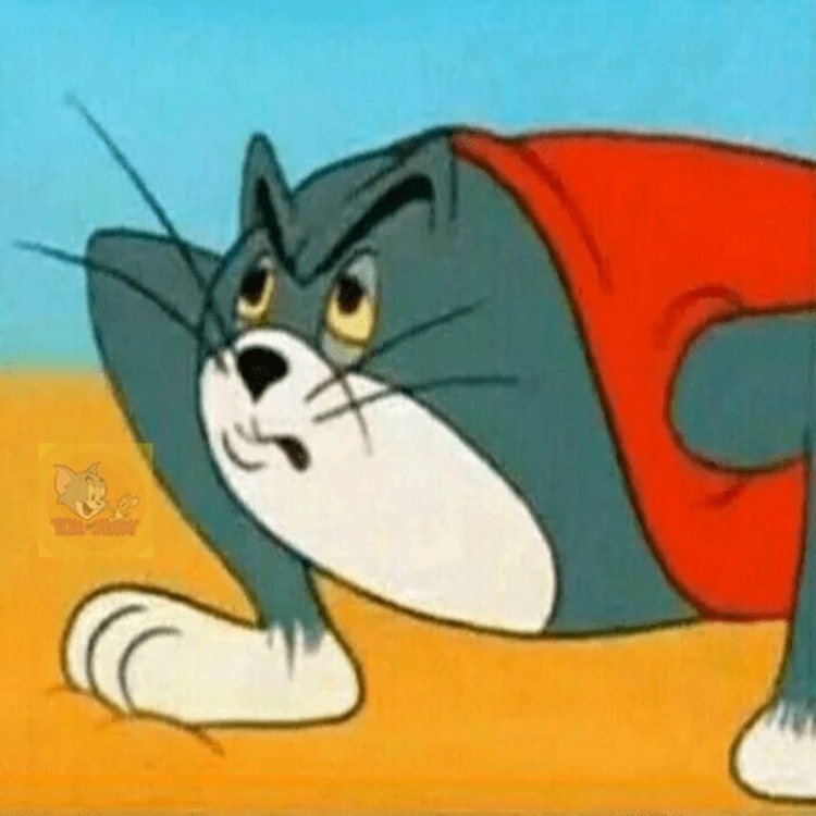 Meme Tom And Jerry