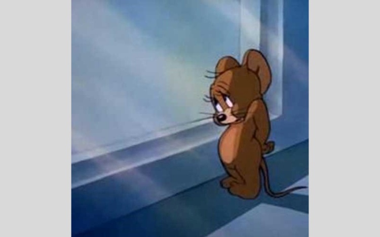 Meme Tom And Jerry