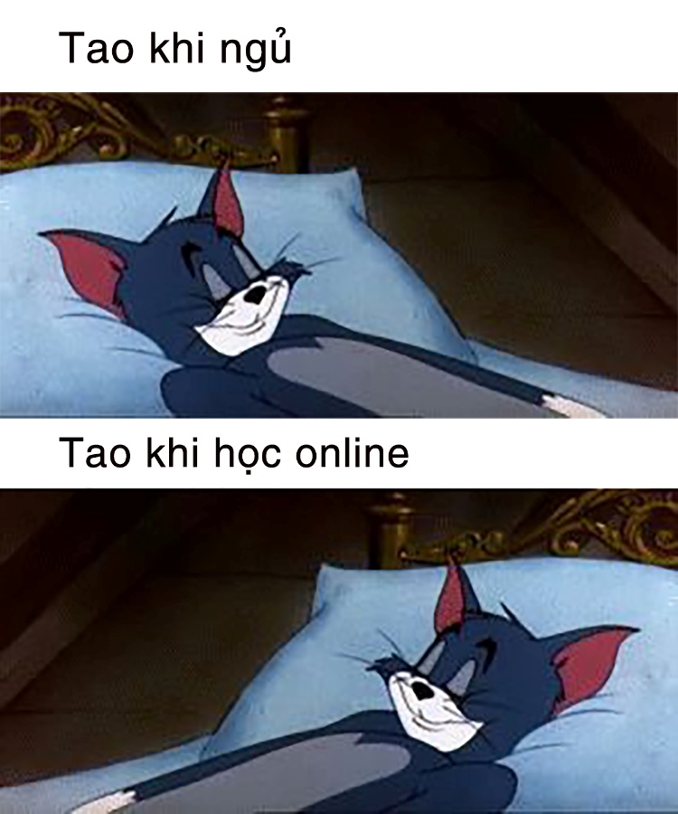 Meme Tom And Jerry