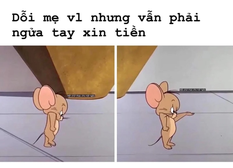 Meme Tom And Jerry
