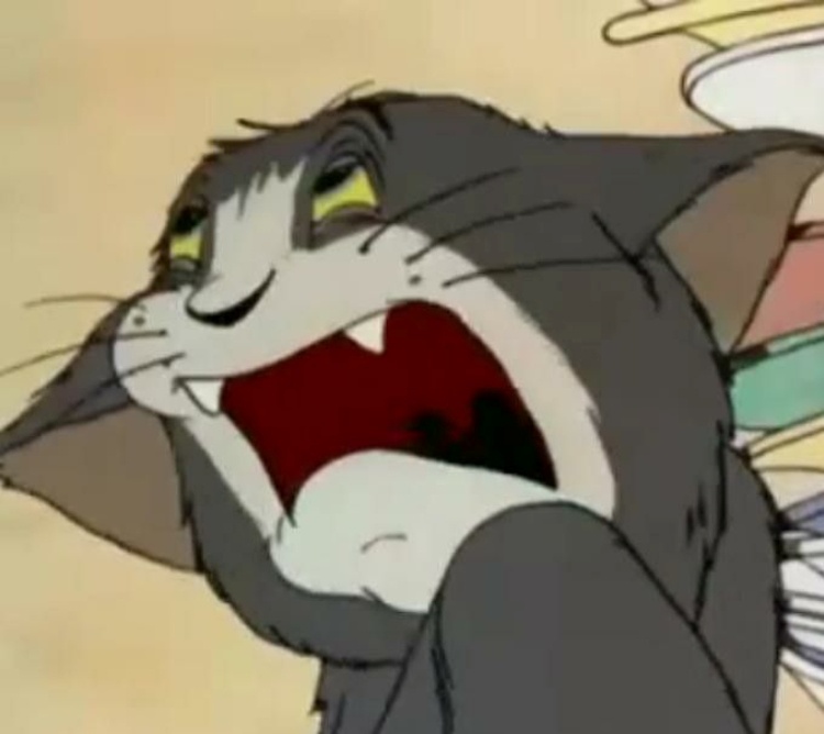 Meme Tom And Jerry