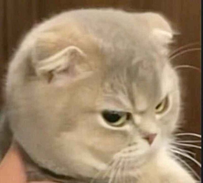 Meme tức giận