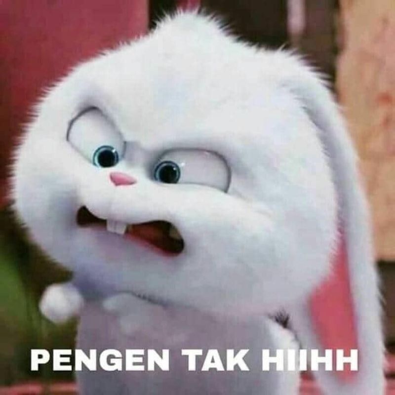 Meme tức giận