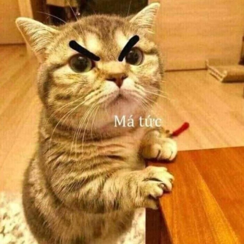 Meme tức giận