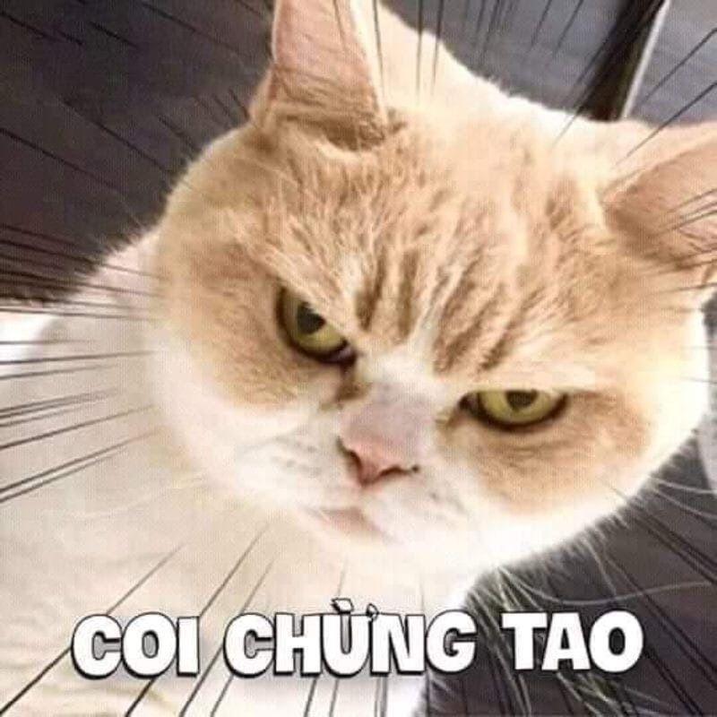 Meme tức giận