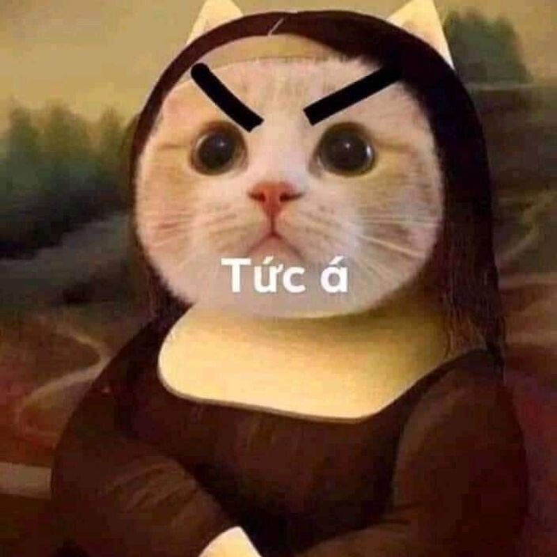 Meme tức giận
