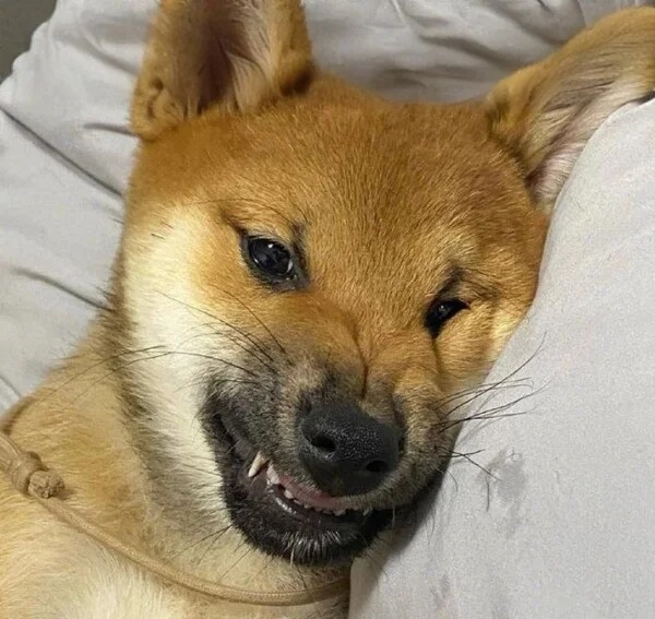 Meme tức giận
