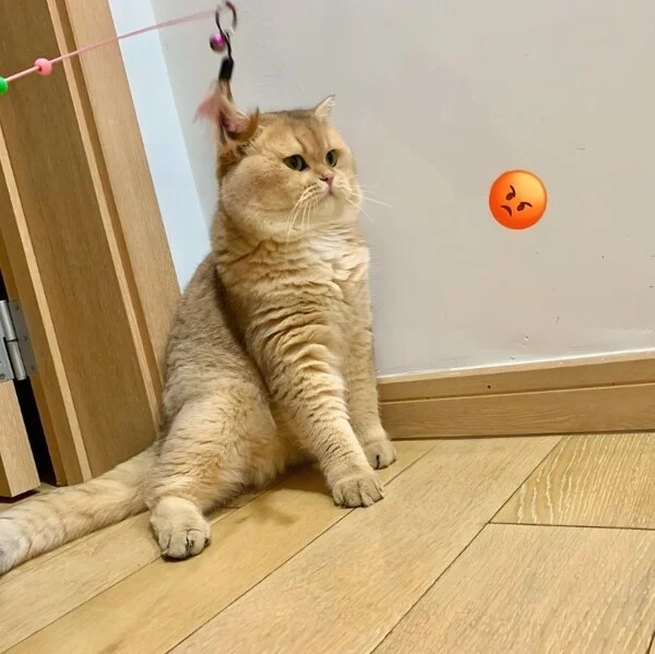 Meme tức giận