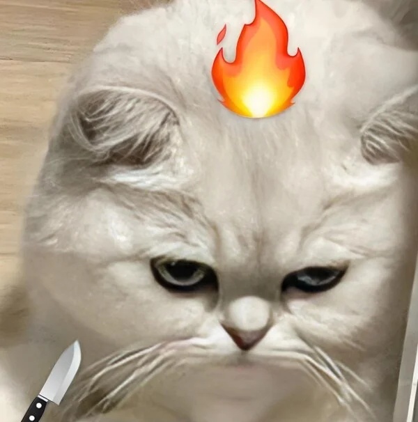 Meme tức giận