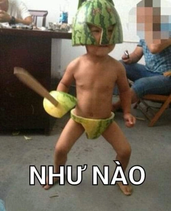 Meme Vô Tri