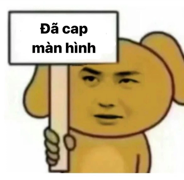 Meme Vô Tri