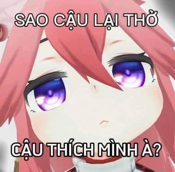 Meme Vô Tri