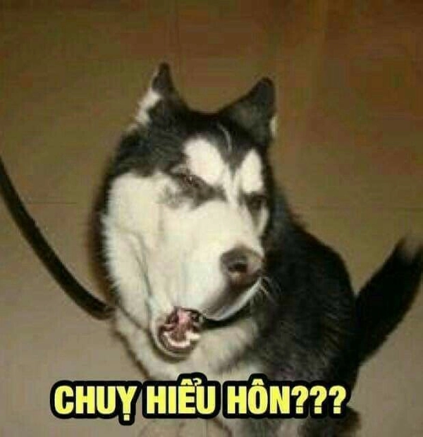 Meme Vô Tri