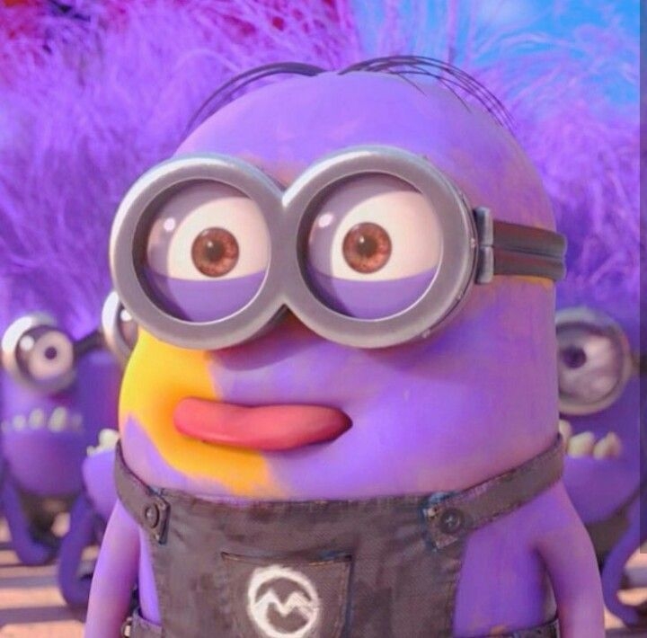 minion meme