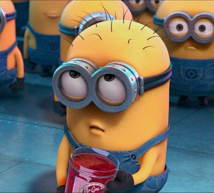 minion meme