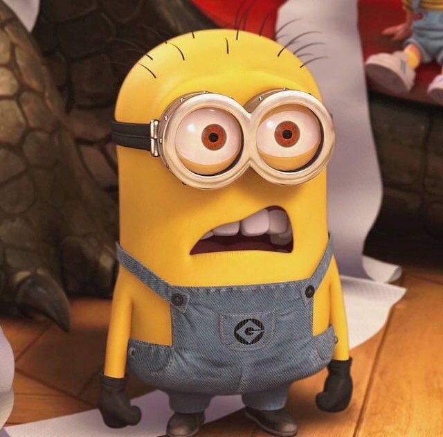 minion meme