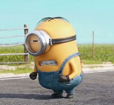 minion meme