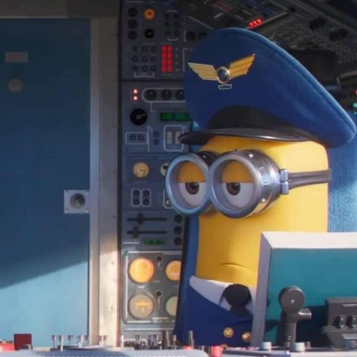 minion meme