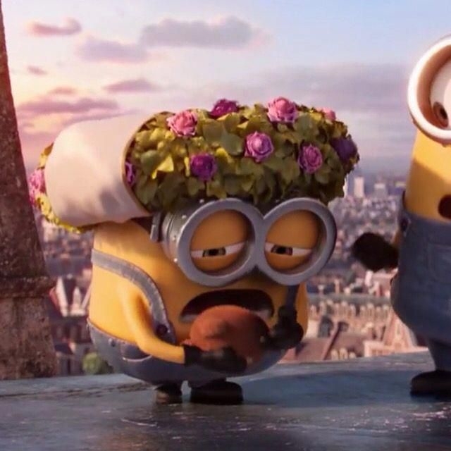minion meme