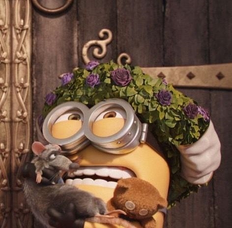 minion meme