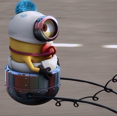minion meme