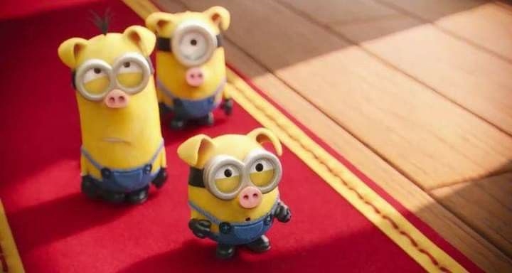 minion meme