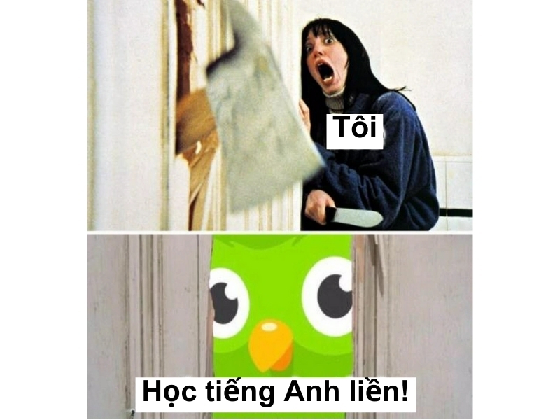 duolingo meme